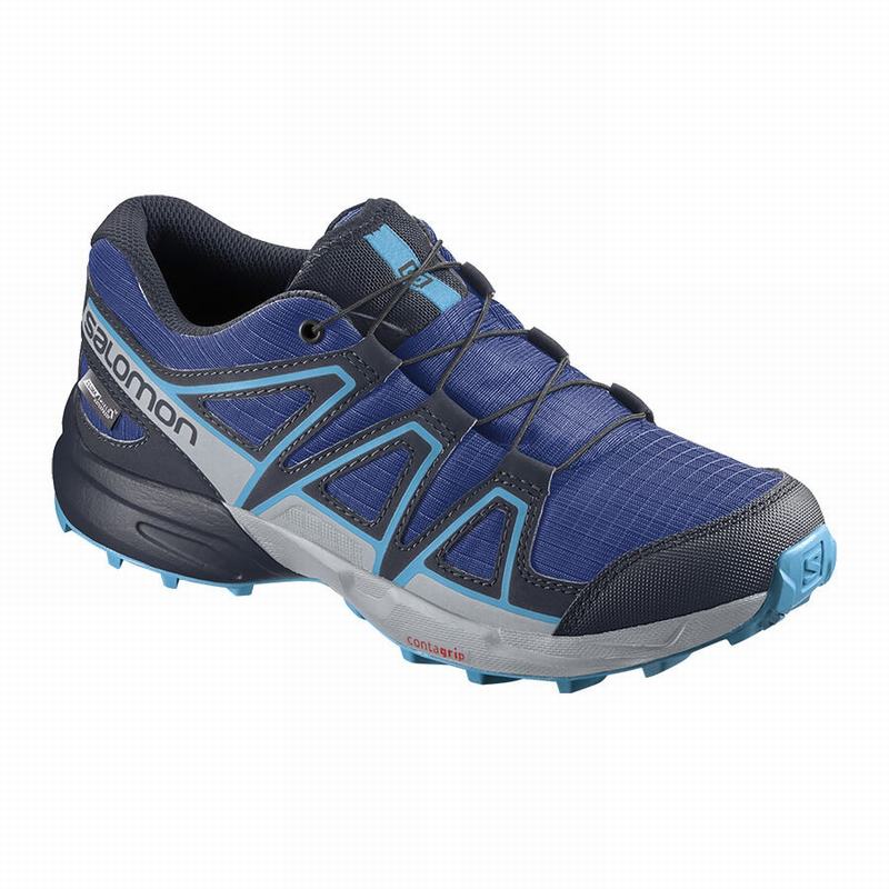 Salomon SPEEDCROSS CLIMASALOMON™ WATERPROOF Zapatillas Trail Running Niños - Azul Marino / Azules -